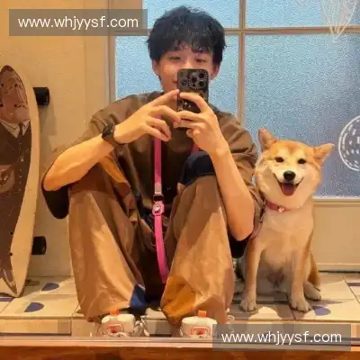 赵苏静